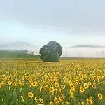 Farm stay Agroturismo Arkaia Vitoria-Gasteiz