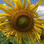 Farm stay Agroturismo Arkaia