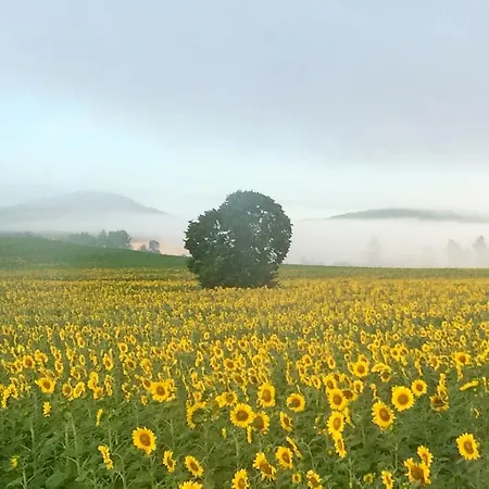 ファームステイ Agroturismo Arkaia ビトリア・ガステイス