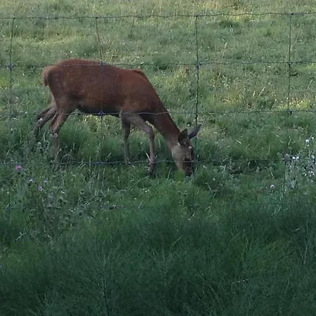 ファームステイ Agroturismo Arkaia
