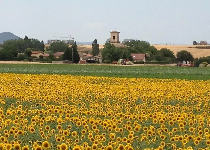 Agroturismo Arkaia * 维多利亚-加斯特伊兹