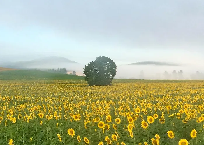 农家乐 Agroturismo Arkaia 维多利亚-加斯特伊兹