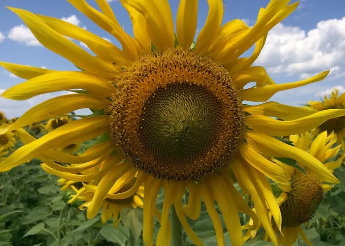 农家乐 Agroturismo Arkaia