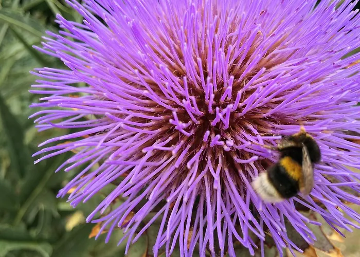 农家乐 Agroturismo Arkaia