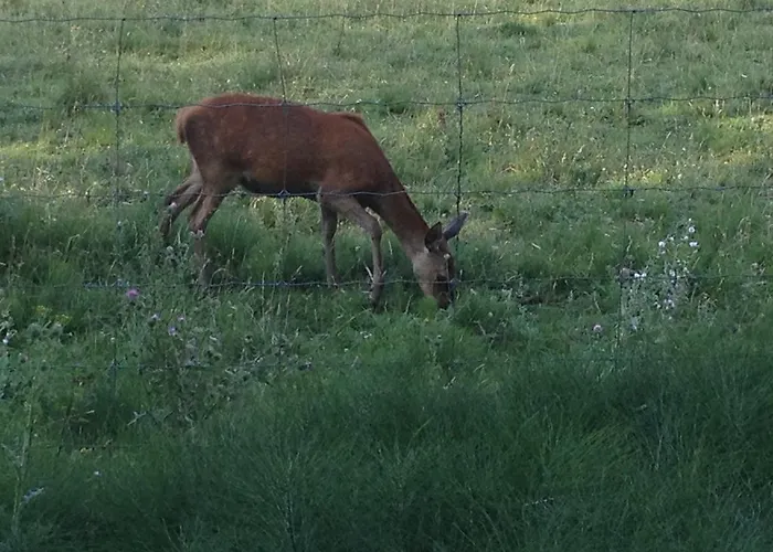 农家乐 Agroturismo Arkaia
